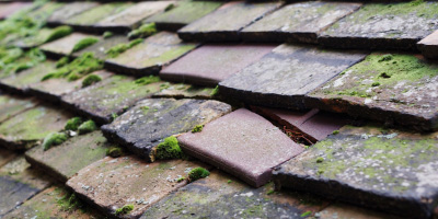 Earlestown roof repair costs